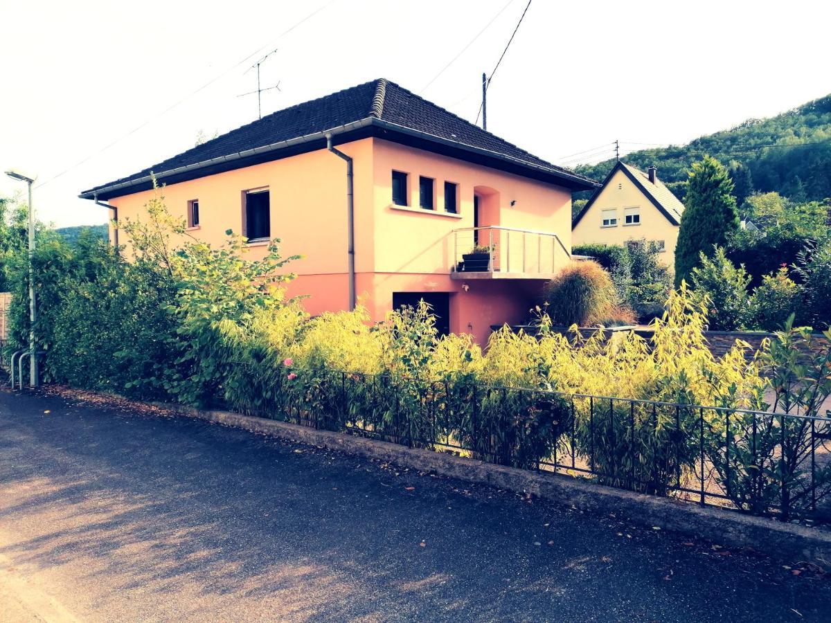 Le Ptit Lou Daire Kaysersberg-Vignoble Dış mekan fotoğraf